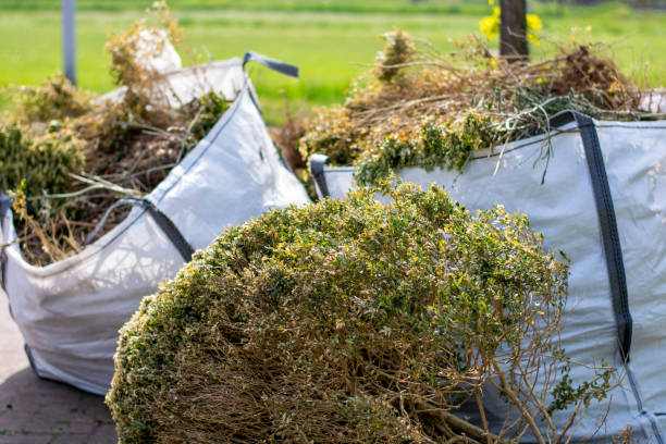 Basement Cleanout Services in Manchester, MD